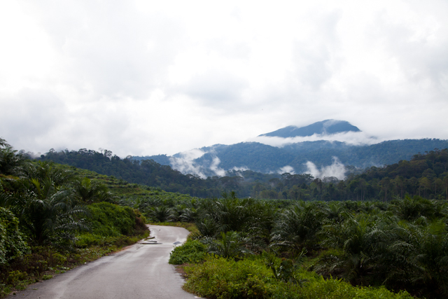 Gunung Belumut Gunung Belumut