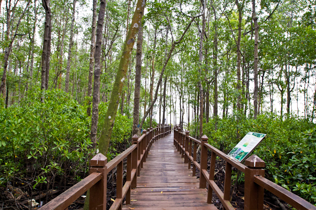 Tanjung Piai National Park