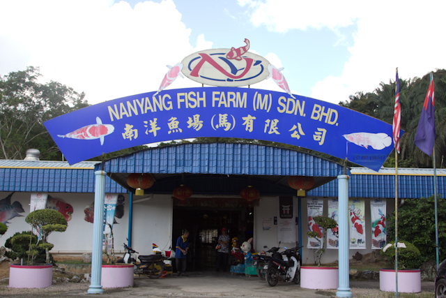 Nanyang Aquaculture    Also known as Nanyang Fish Farm (M) Sdn. Bhd.