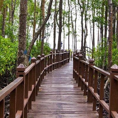 Tanjung Piai National Park  タンジュンピアイ国立公園