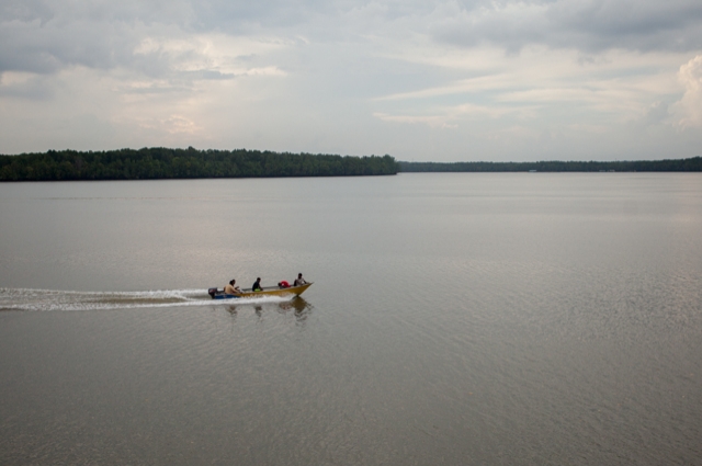 RAMSARサイトSungai Pulai RAMSAR Site Sungai Pulai