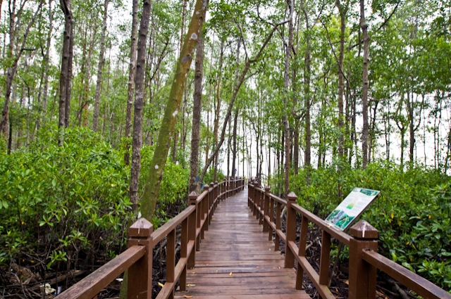 タンジュンピアイ国立公園 Tanjung Piai National Park