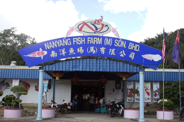 南洋養殖（Nanyang Aquaculture）南陽養殖場（Many Sdn）としても知られています。 Bhd。 Nanyang Aquaculture    Also known as Nanyang Fish Farm (M) Sdn. Bhd.